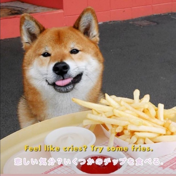 Meet your Posher, Farah - Picture 1 of 1